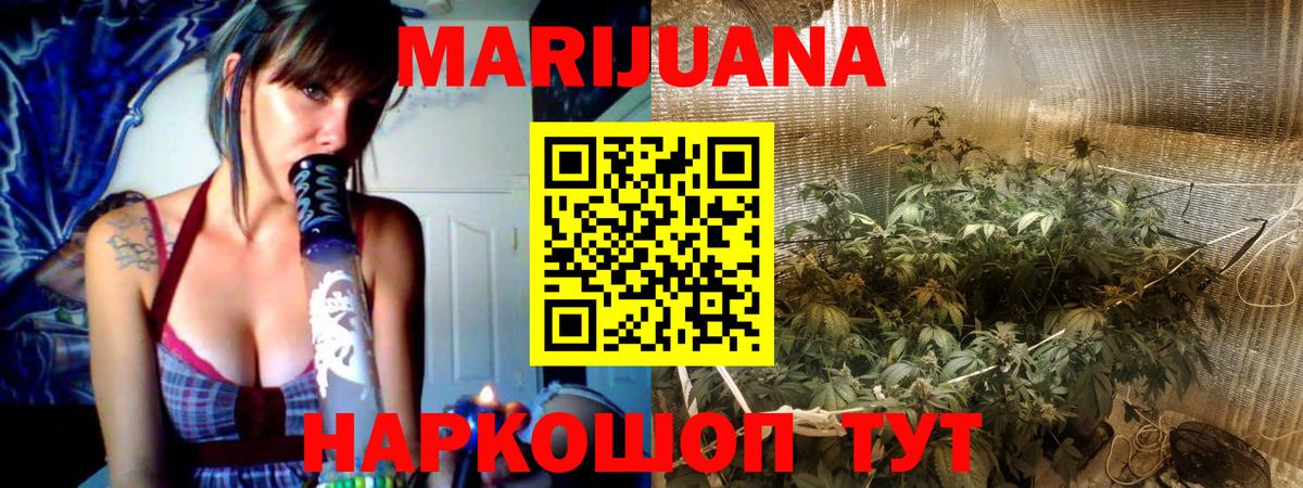 Бошки Шишки план Фрязино
